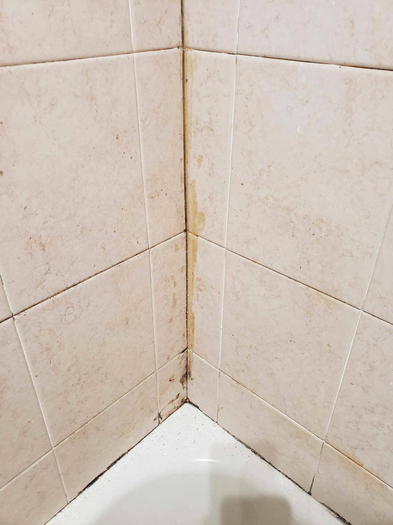 Mildew bathroom tiles before re-caulking