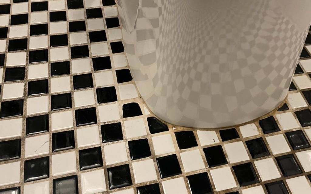 Bathroom floor tiles with damaged grout